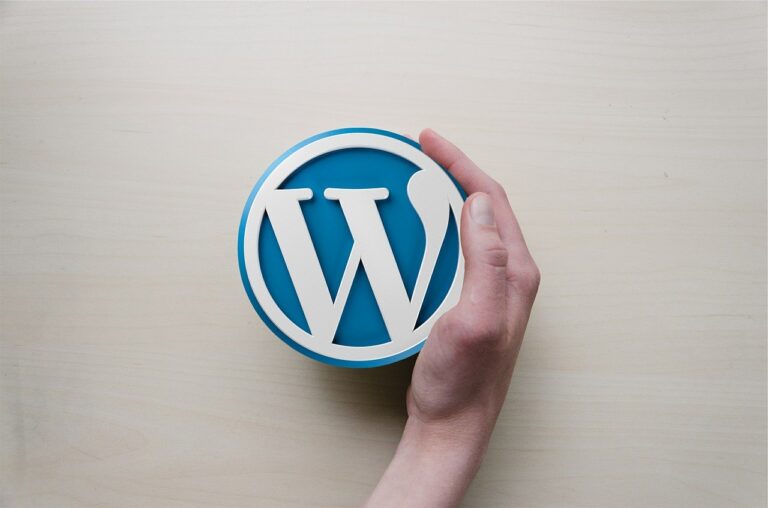 WordPress Nedir ve Nasıl Kullanılır ?